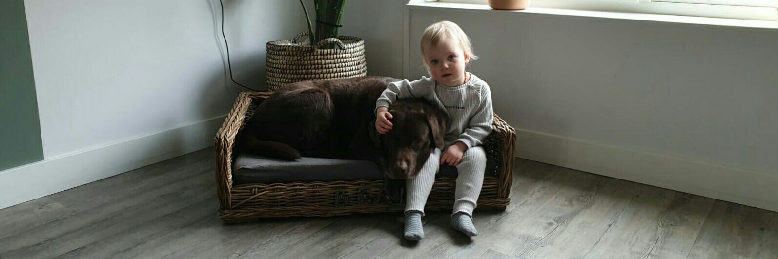 HKastenberg's profile banner image