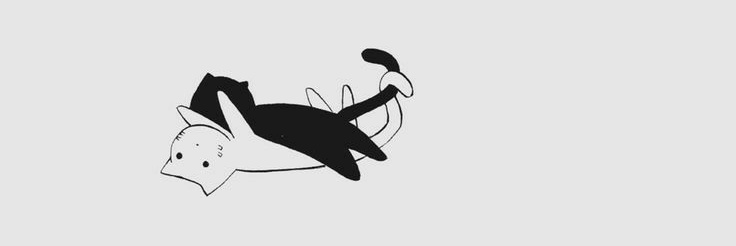 C banner