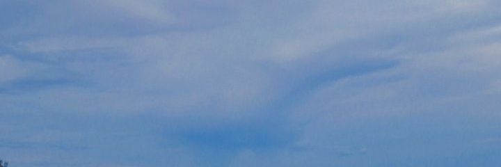 arshi™ banner