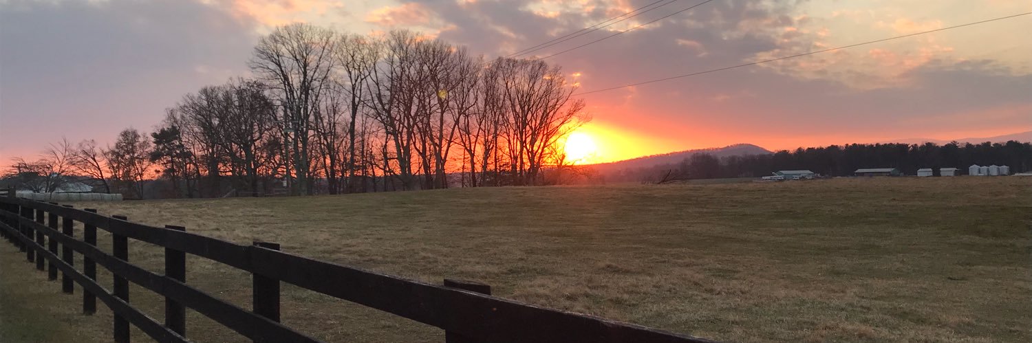 ReesePeecey32's profile banner image