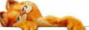 medamud's profile banner image