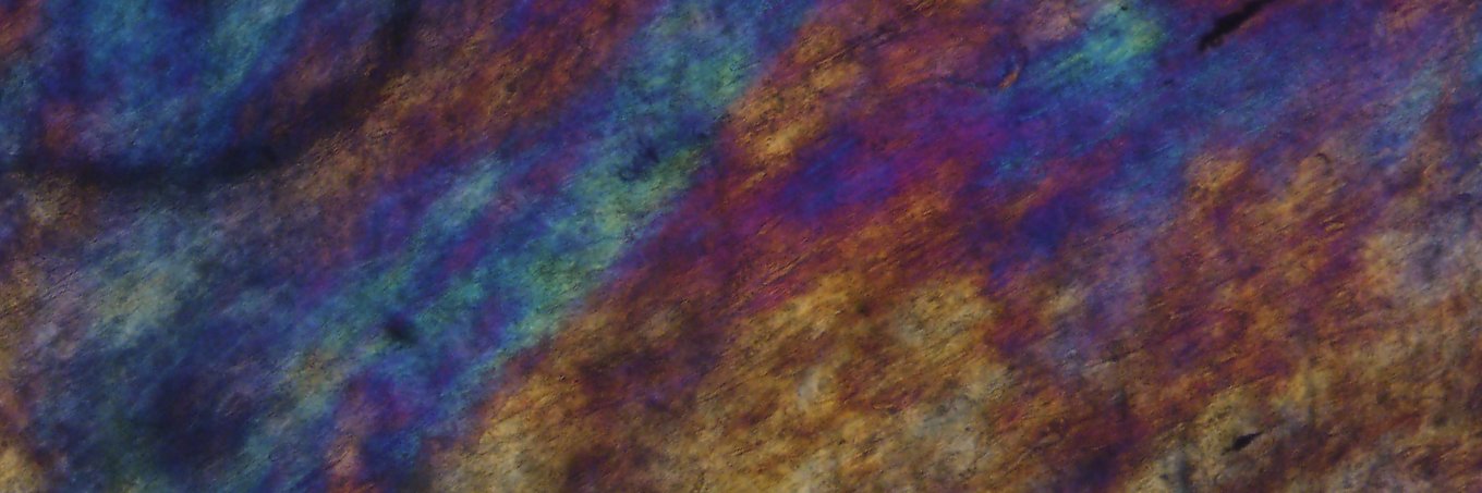 Franziska Marx banner