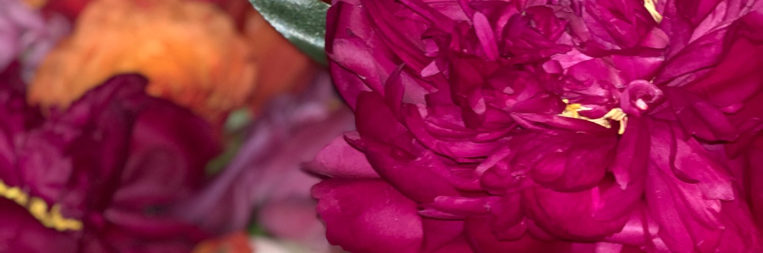 wordsncurves's profile banner image