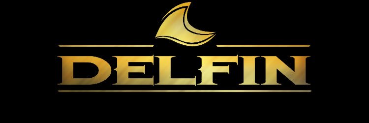 Delfin_Music's profile banner image