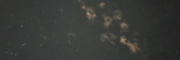 LexyStaniland Profile Banner