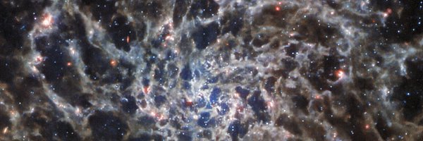 approvedshippy1 Profile Banner