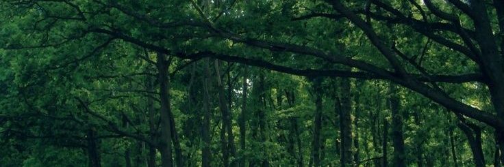 EXOlalala01's profile banner image