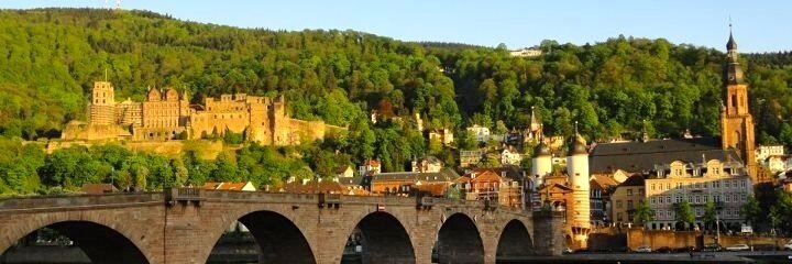 TamaraBusch's profile banner image