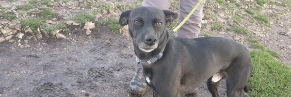 ProfKarolSikora Profile Banner