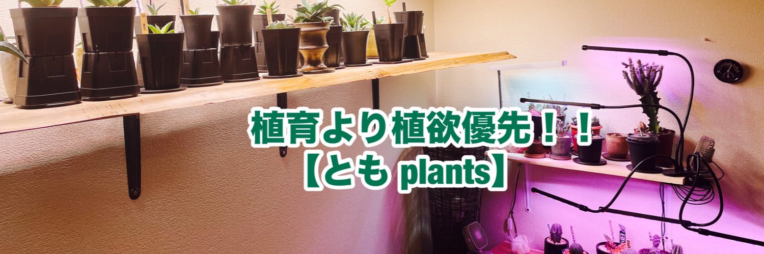 植育より植欲【ともplants】 banner