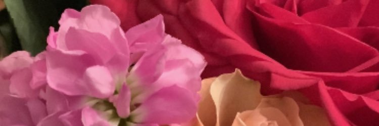 Stannysnow's profile banner image