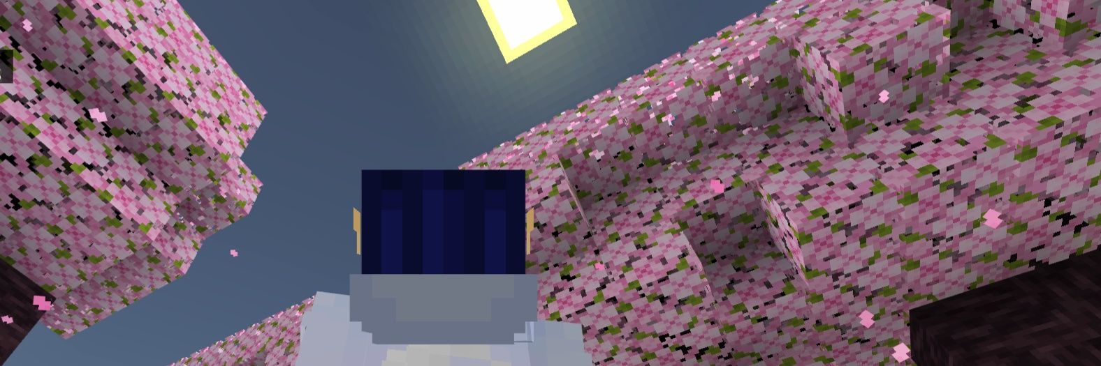 chizuru⎊🌸 banner