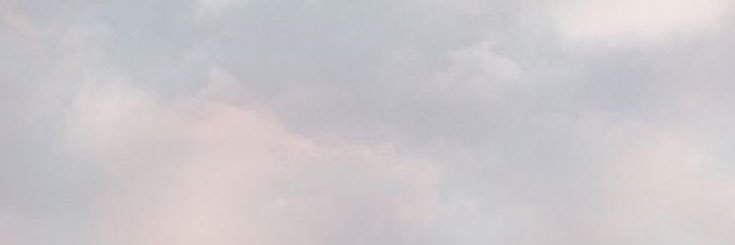 litsrx's profile banner image