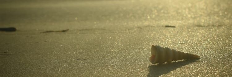 Deeksha_Nandan's profile banner image