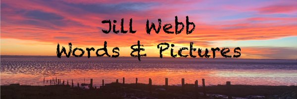 Jill Webb Words and Pictures Profile Banner