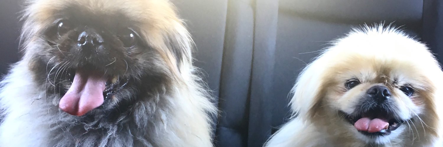 HeyMollyB's profile banner image