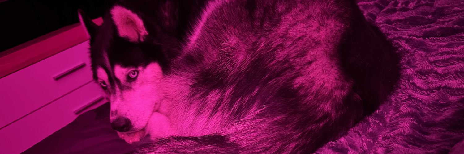 Traptornada's profile banner image