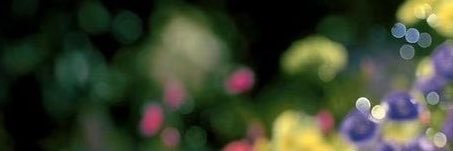resa___'s profile banner image