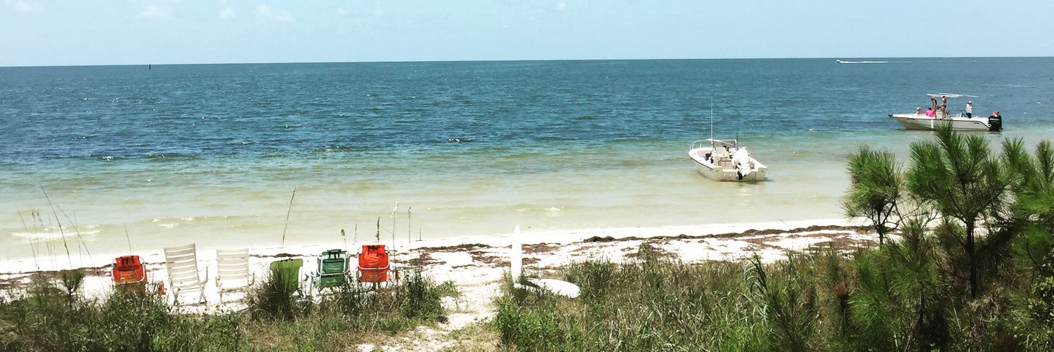 Cissy Proctor banner