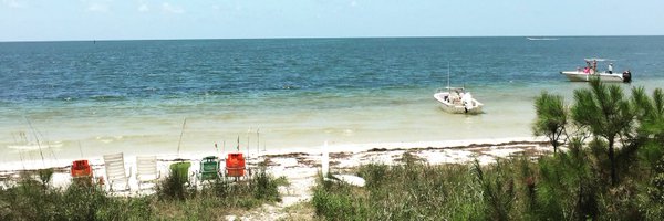 cissy_proctor Profile Banner