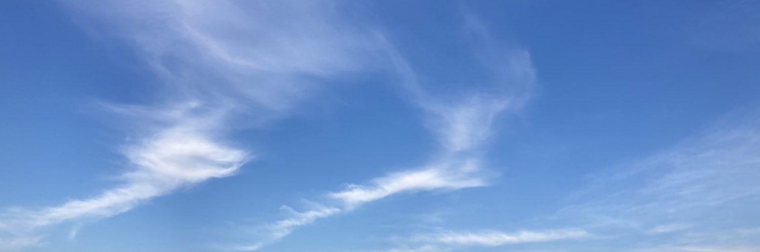CeciDrdz's profile banner image