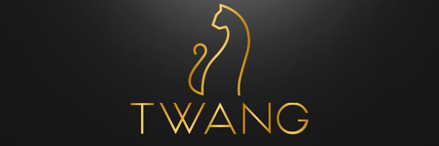 JJ Foord (Twang) banner