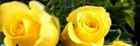 Isasanchez67's profile banner image
