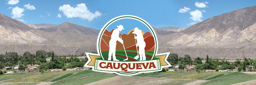 cauqueva's profile banner image