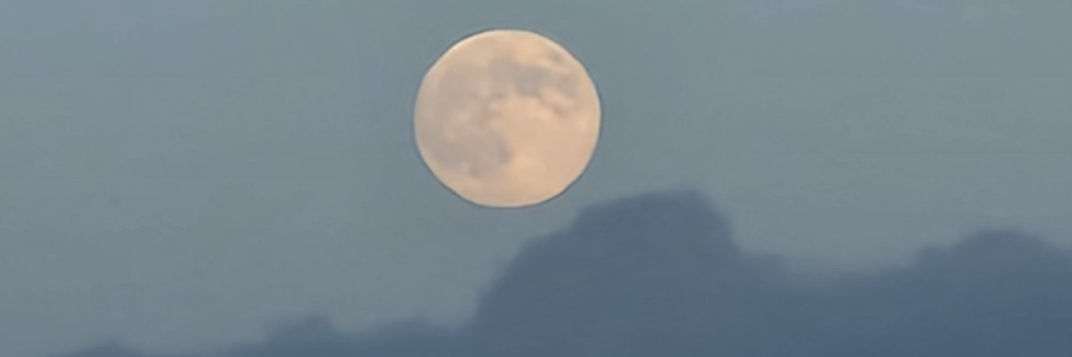 jinnypatchfidel's profile banner image