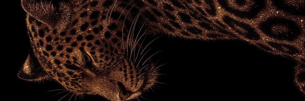 Pisciana 🫧🧜🏼‍♀️ banner