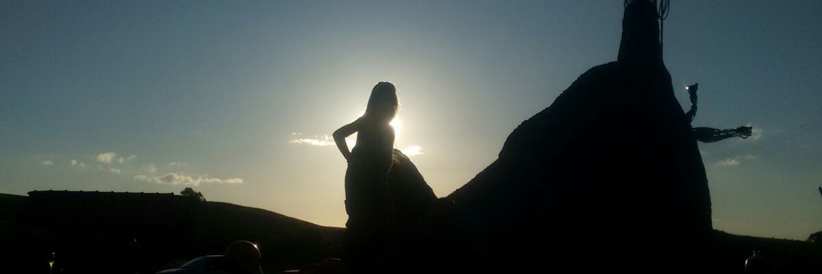 _culpadabruna's profile banner image