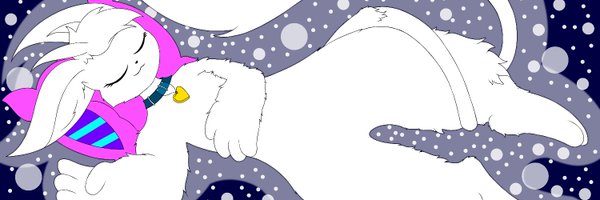 SliWild Profile Banner