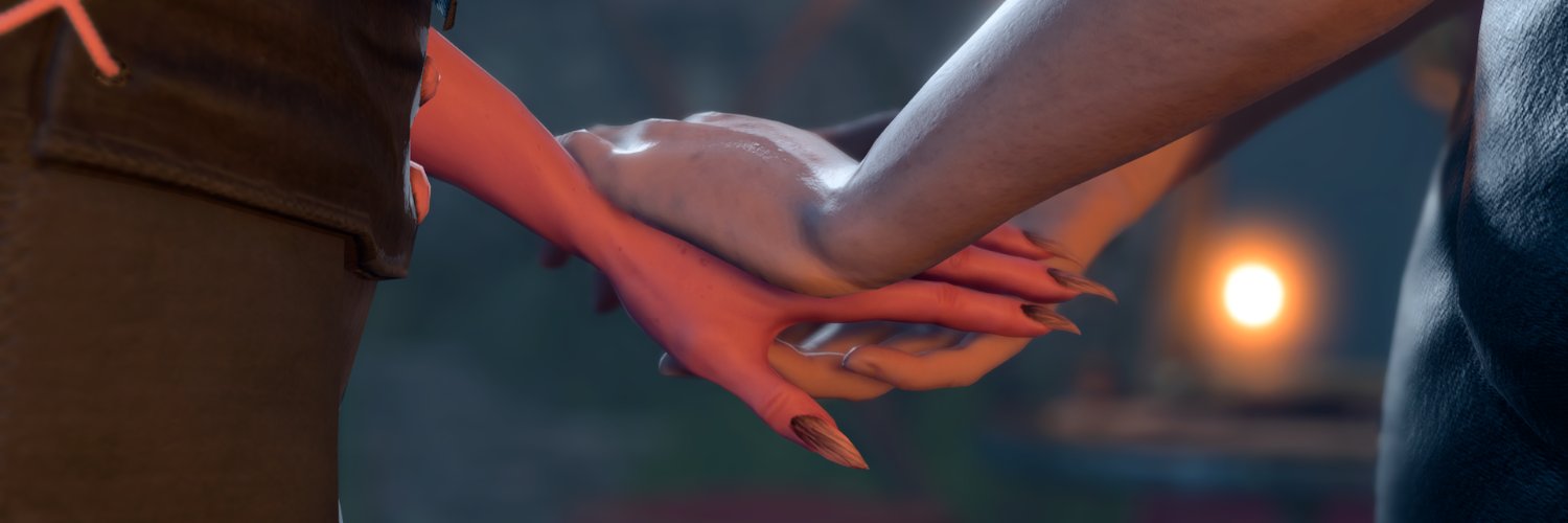 zitka banner