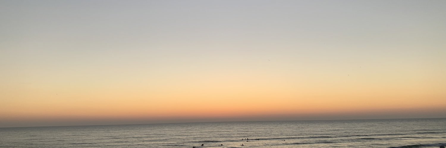 imloiiiic's profile banner image