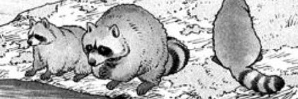 TheyThemItalian Profile Banner