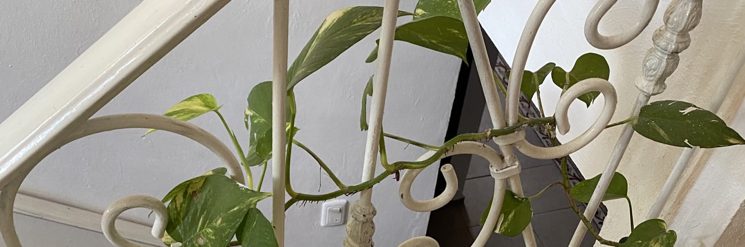 sweeetfraises's profile banner image