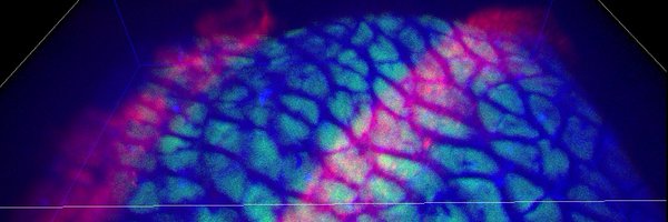 _JamesStocks Profile Banner
