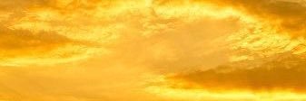 _alexiscota's profile banner image