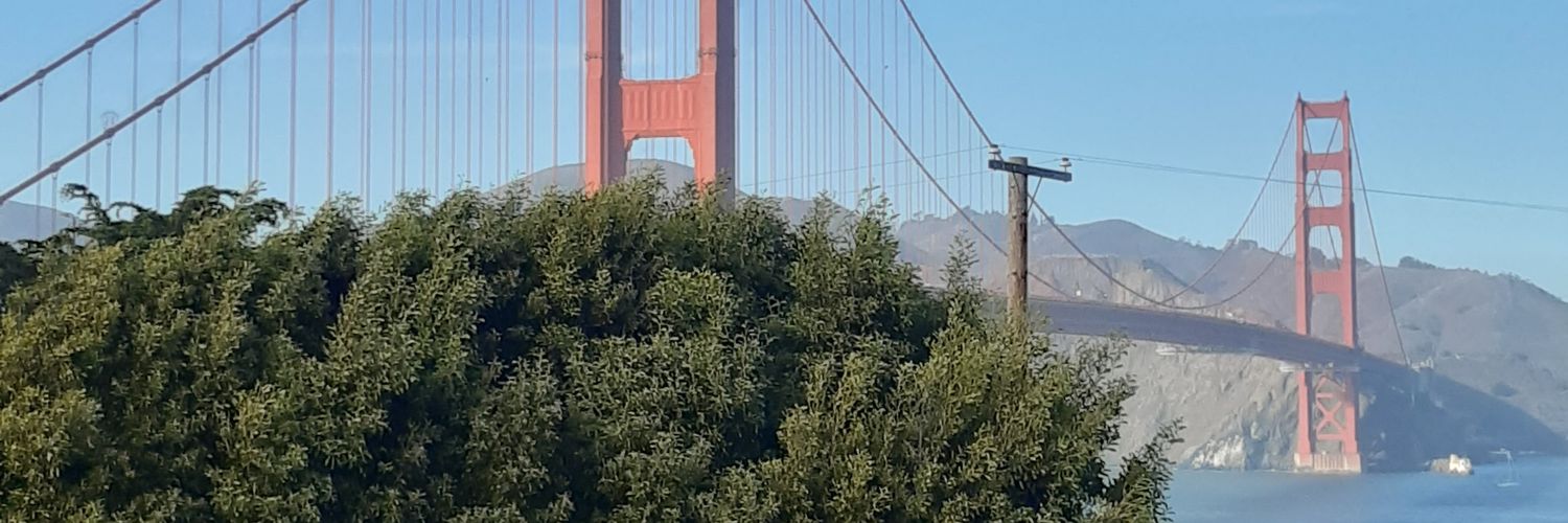 furrybear20's profile banner image
