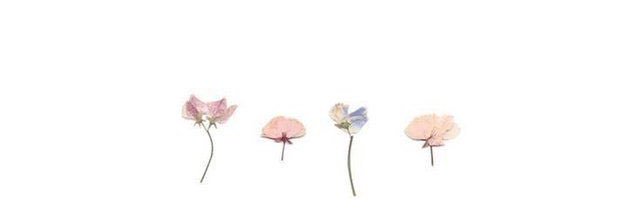 Maria_Tonda's profile banner image