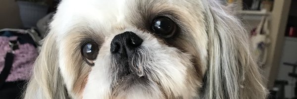 ErinBode Profile Banner