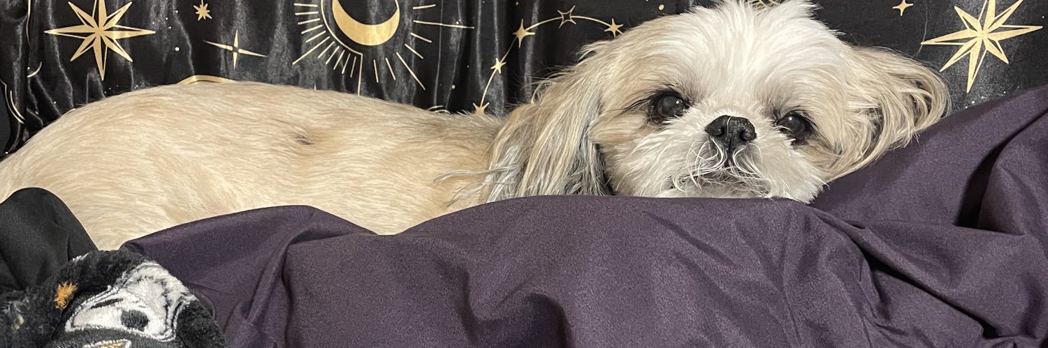 Just Erin 🍷🦄 banner