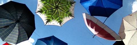 dariaellerman's profile banner image