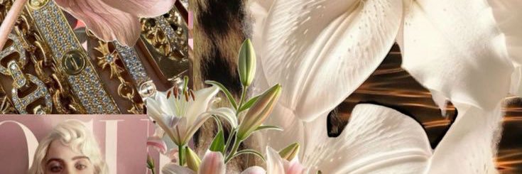 🦄 banner