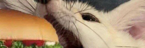 Cyrovon_ Profile Banner