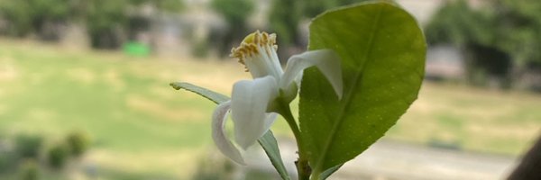 nishantpoet Profile Banner