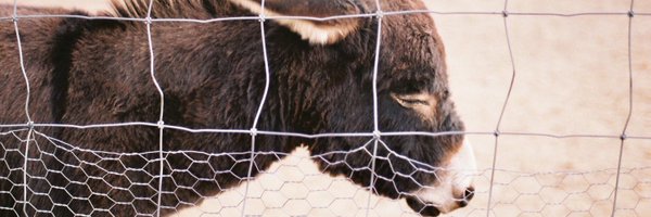 TGdwf Profile Banner