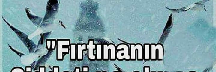 biribanababadedi banner