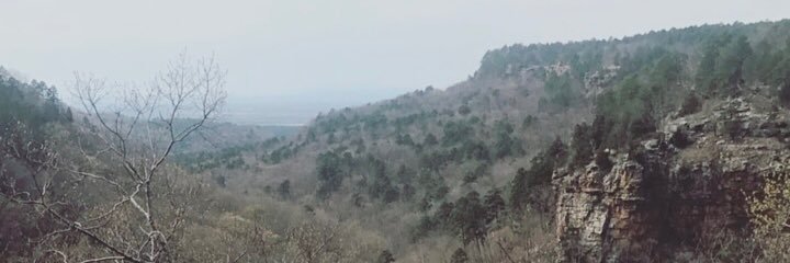 austinmaxey's profile banner image
