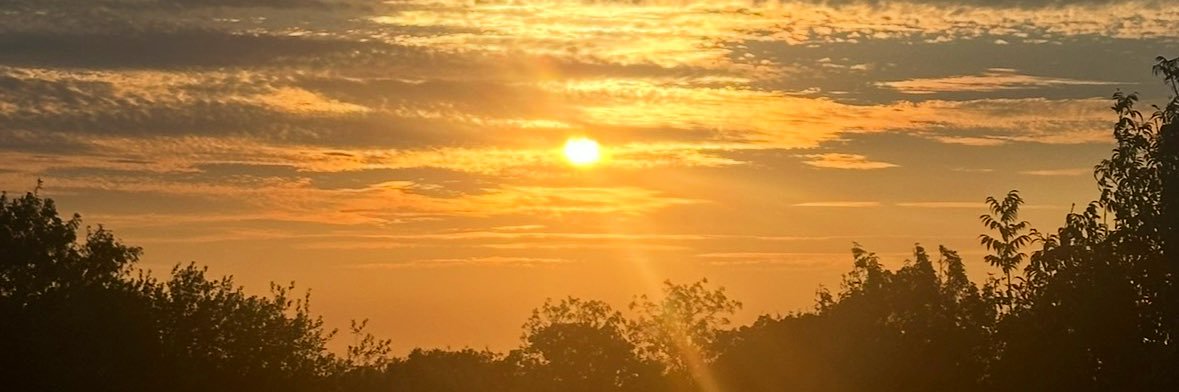 VixenPixie🍒 banner